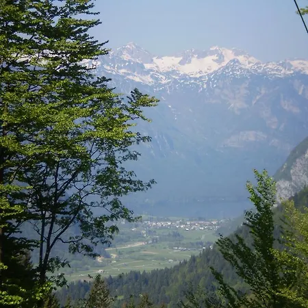 Hisa Korosec 아파트 Koprivnik v Bohinju